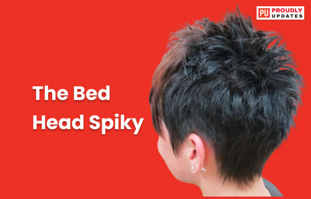 The Bed Head Spiky