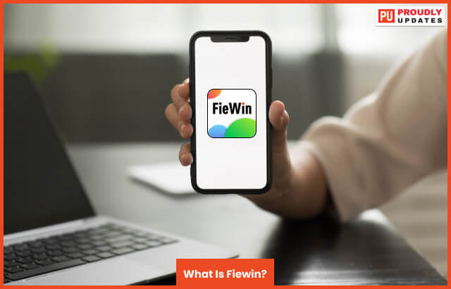 What Is Fiewin?