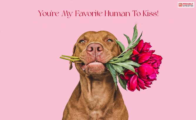 Valentine’s Day Card Messages From A Pet 